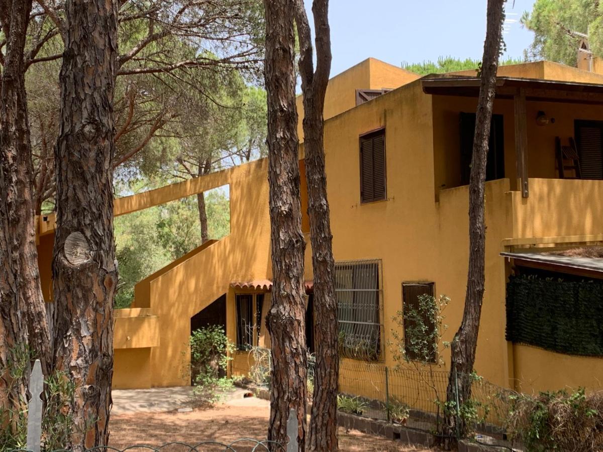 Cala Marina 3 4 Posti A 300 Mt Dal Mare